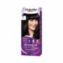 Ngjyre per floke Palette N1