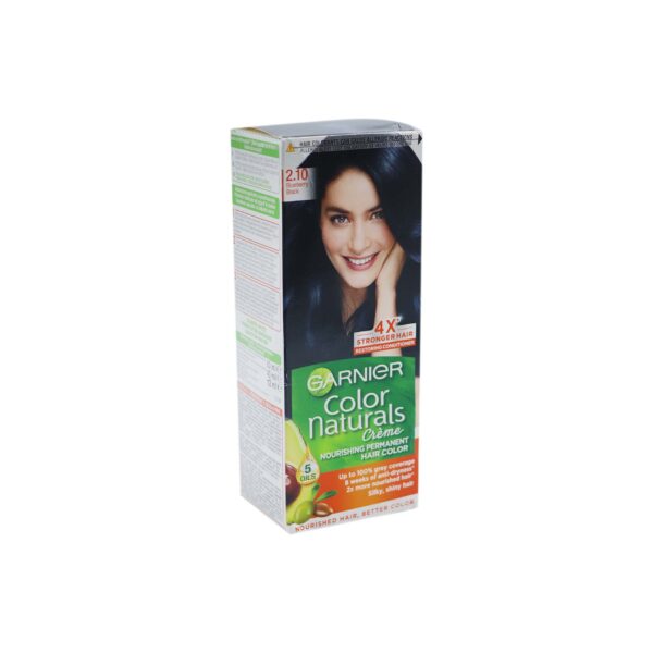 Ngjyre per floke naturals Garnier 2.10
