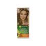 Ngjyre per floke naturals Garnier 8.1