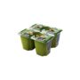 Jogurt dredhez pjeshke maraku Fruetto125gr
