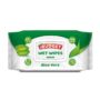 Leter e lagur aloevera Ibudget 100cope