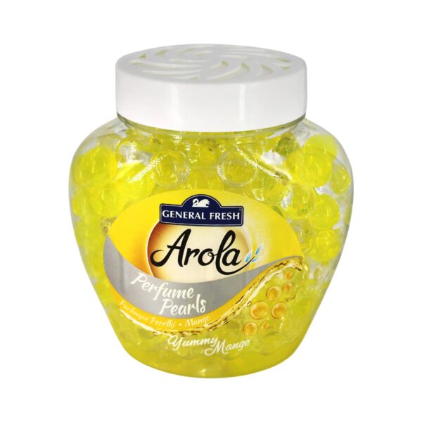 Arome dhome forest mango 250 gr