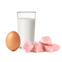 Produktet e Fresketa