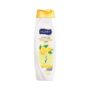 Shampo per floke lemon Hobby 600ml