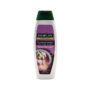 Shampo beauty gloss Palmolive 350ml