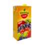Leng Coctail Vitamina 1l