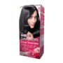Ngjyre per floke sensation Garnier 1.0