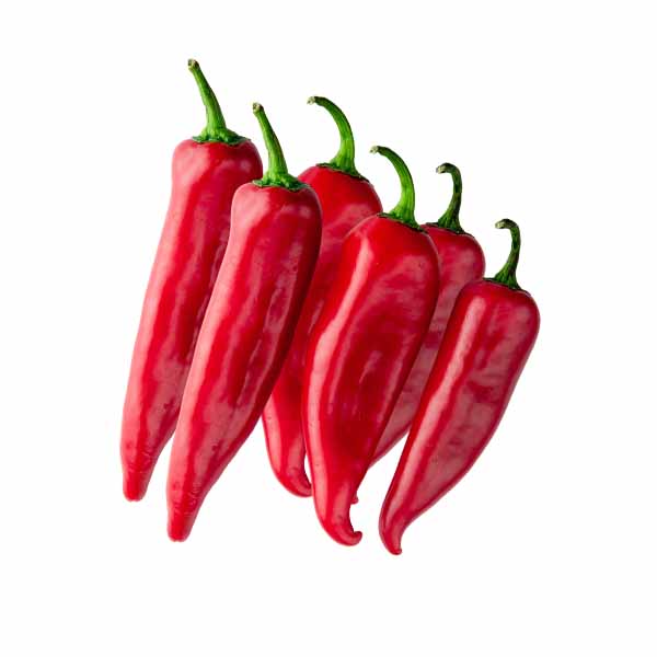 Spec i Kuq kg